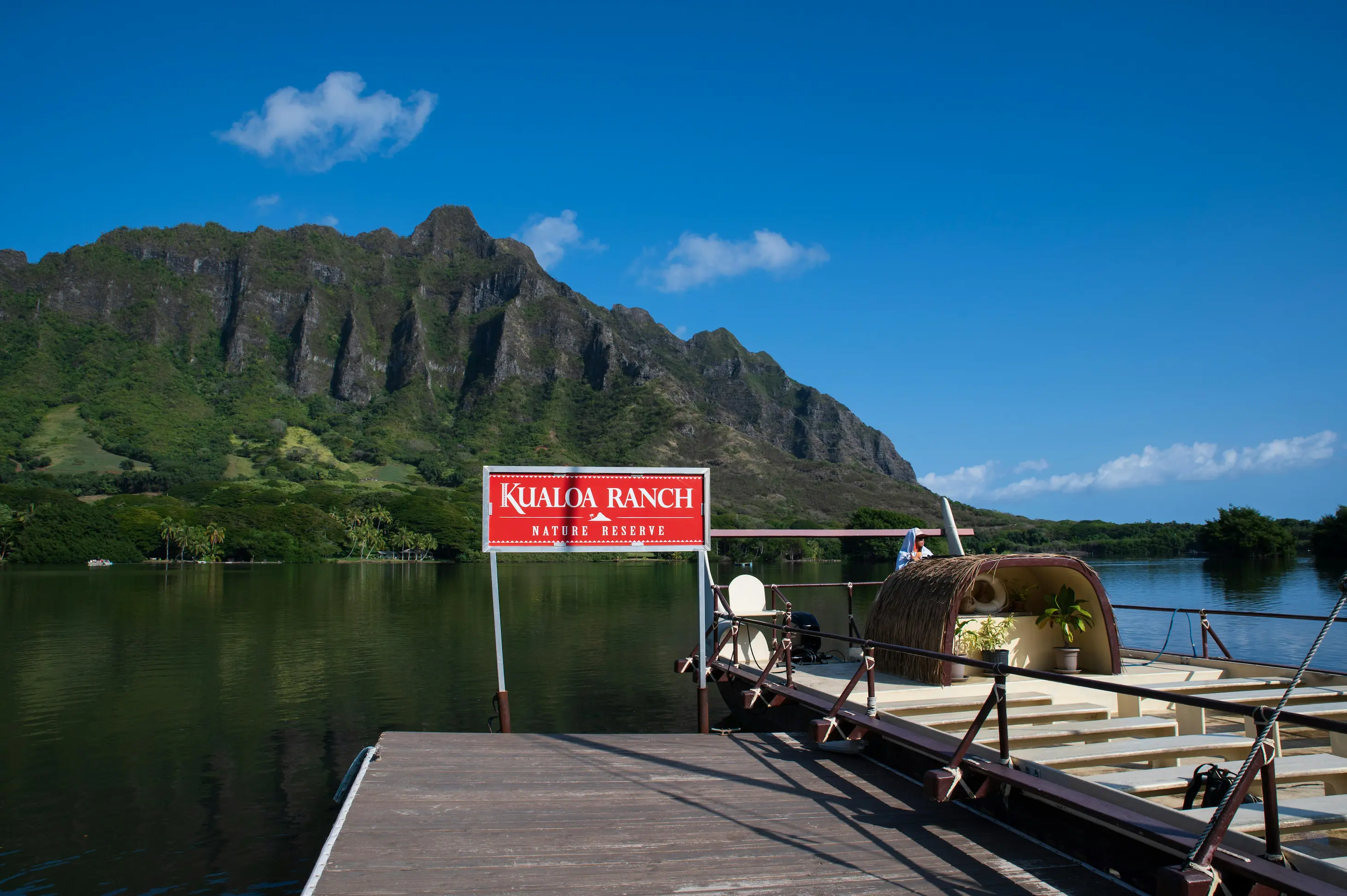 Markets, Trade & Investment